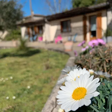 La Peireta- Maison Eco Responsable 3* Saint Alban Auriolles